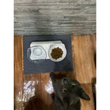 Ergonomic Double Pet Bowl Set – Non-Slip, Raised Stand for Dogs & Cats